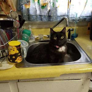 Meet your Posher, Katherine